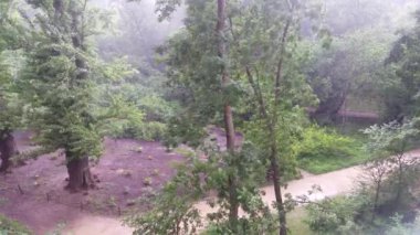 Parkta şiddetli yağmur