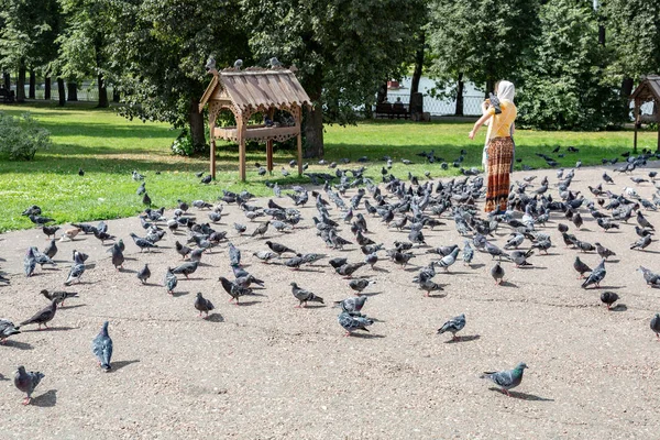 Tauben auf dem Bürgersteig der Stadt — Stockfoto