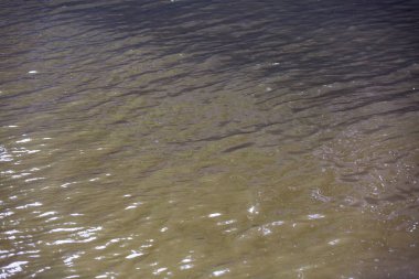 Doğal nehir su doku