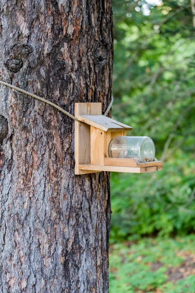 Mangeoire pour oiseaux dans le parc — Photo