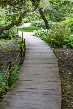 Parkta yayalar için yol