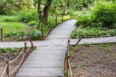 Parkta yayalar için yol