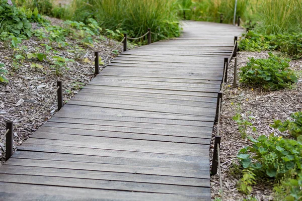 Parkta yayalar için yol