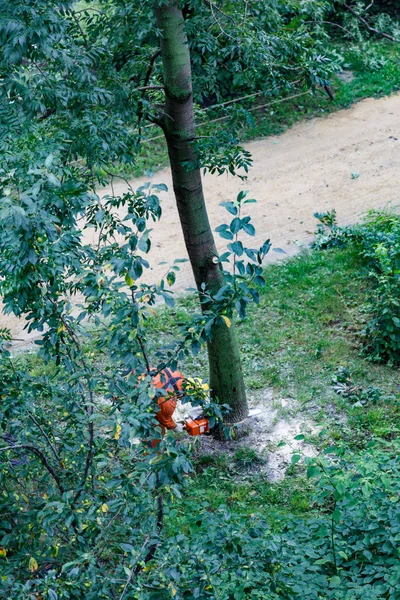 İşçi chainsaw ile üniformalı