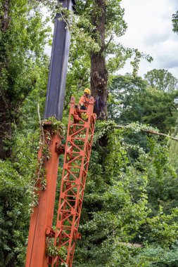 Kasırgadan sonra kurtarıcı