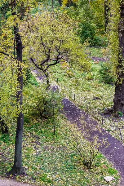 Żółty autumn drzewa — Zdjęcie stockowe