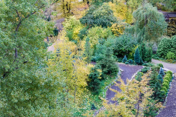 Yellow autumn trees — Stock Photo, Image