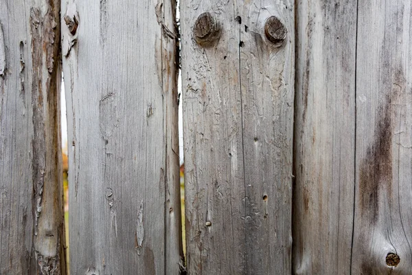 Pannelli di legno. Texture — Foto Stock