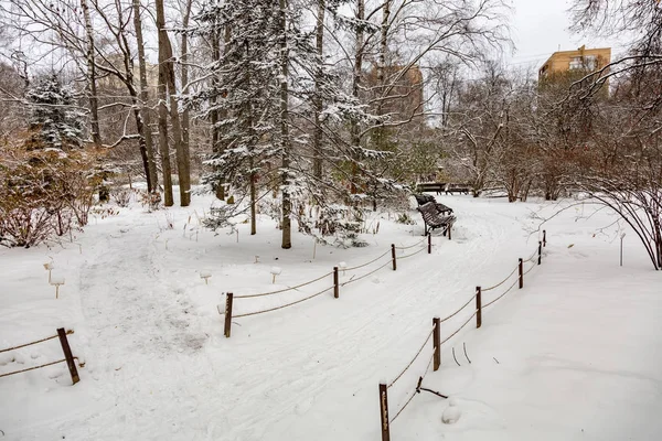 Зима в городском парке — стоковое фото