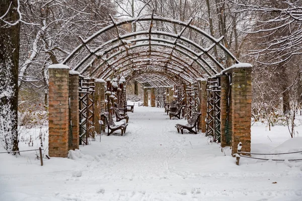 Winter in the city park