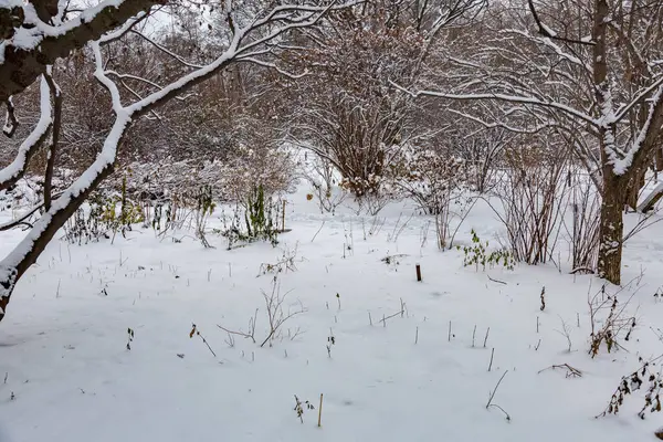 Invierno en el parque de la ciudad —  Fotos de Stock