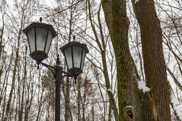 Zwarte straat lamp — Stockfoto