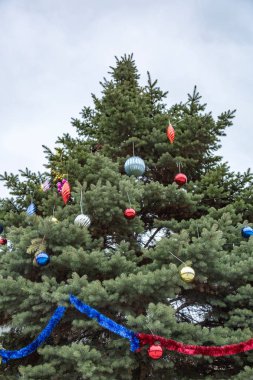 Toplarla süslenmiş Noel ağacı