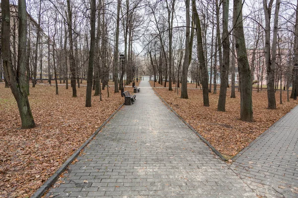 Ścieżki dla pieszych w parku — Zdjęcie stockowe