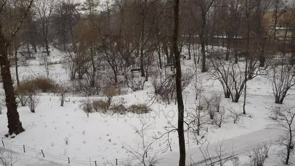 Nevando na cidade — Vídeo de Stock