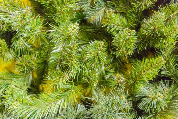 Textura del árbol de Navidad — Foto de Stock