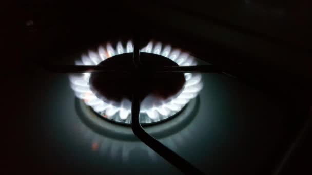 Голубой Газовый Огонь Кухонной Плиты — стоковое видео