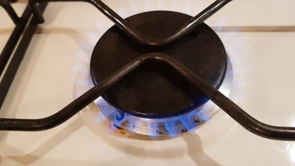 Голубой Газовый Огонь Кухонной Плиты — стоковое видео