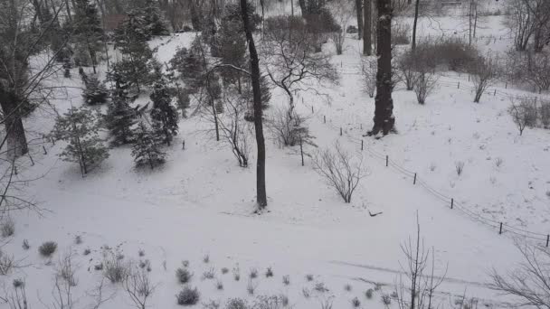 Biały Śnieg Winter City Park — Wideo stockowe