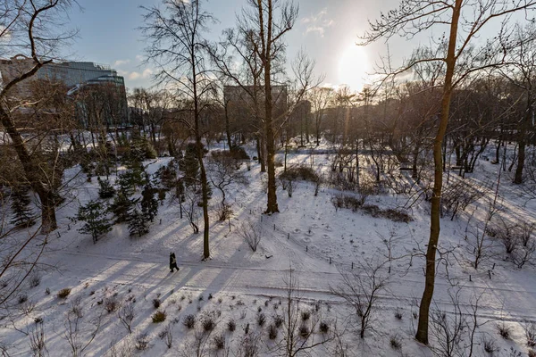 Зима в городском парке — стоковое фото