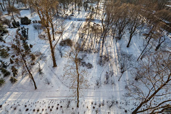 Зима в міському парку — стокове фото