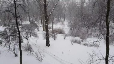 Bir kış şehir parkında Pamuk Prenses