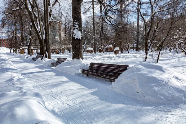 Chemin pour les piétons dans le parc d'hiver — Photo