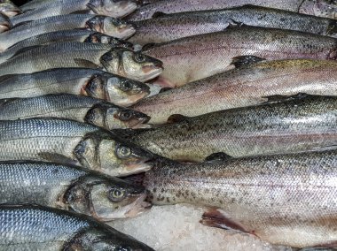 taze yakalanmış balık