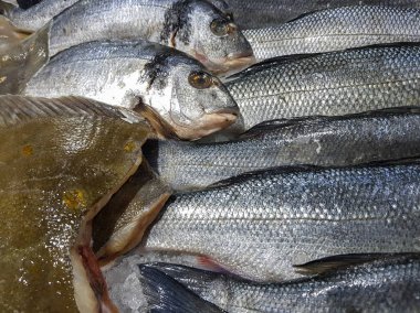 taze yakalanmış balık