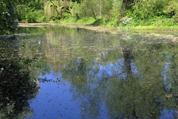 Étang municipal avec lentille d'eau — Photo