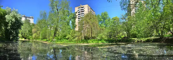 Lagoa da cidade com pato — Fotografia de Stock