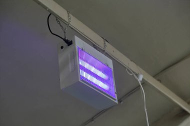 UV böcek tuzağı bir ışın üzerinde asılı