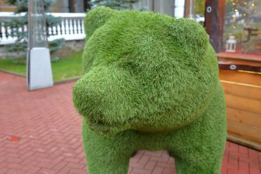 Taze yeşil ottan yapılmış dekoratif bir ayı.