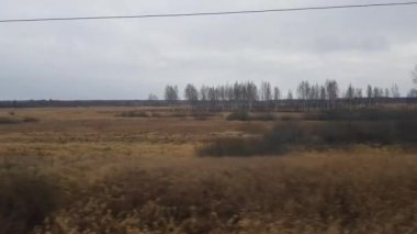 Bulutlu bir günde hareket halindeki yüksek hızlı trenden Rusya 'nın orta kesiminin manzarası