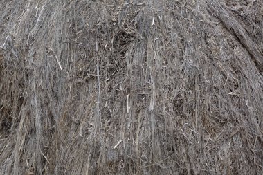 Üretim için desenli gri kenevir lifleri