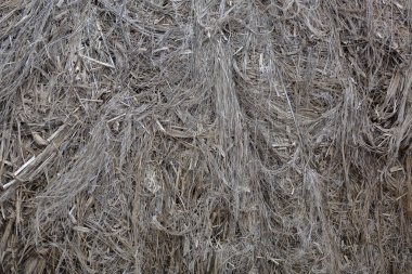 Üretim için desenli gri kenevir lifleri