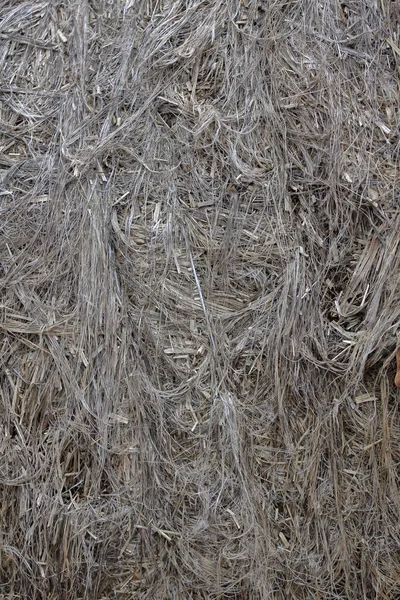 机织灰麻纤维,生产用 — 图库照片