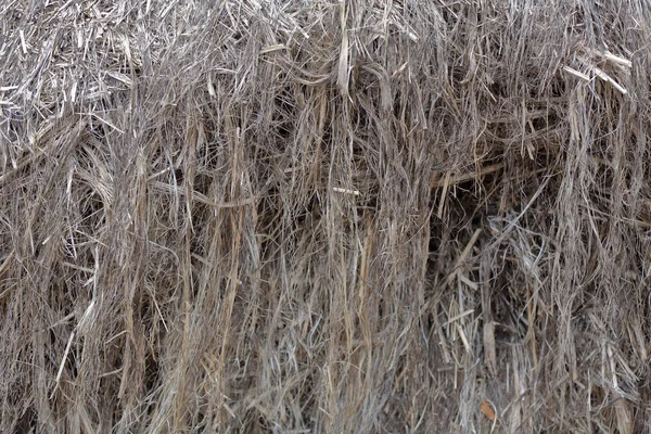 Texturizado fibra de cáñamo gris para la producción — Foto de Stock