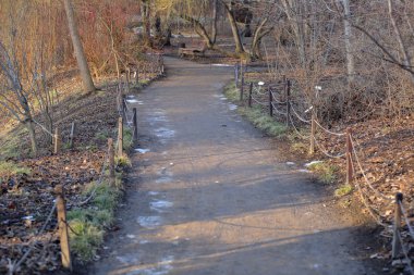 Yolu kış parkta yayalar için
