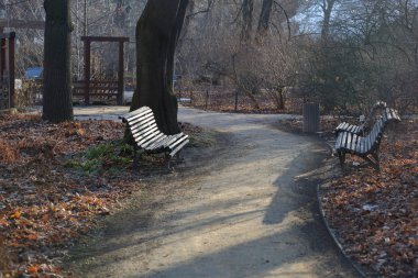 Yolu kış parkta yayalar için
