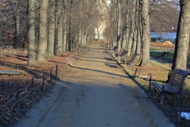 Yolu kış parkta yayalar için