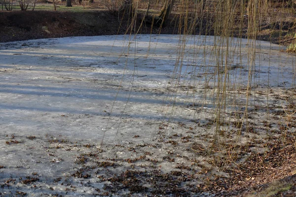 Lago de inverno congelado no parque público — Fotografia de Stock