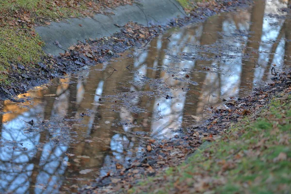 Reflejo de un árbol en el agua de un arroyo poco profundo —  Fotos de Stock