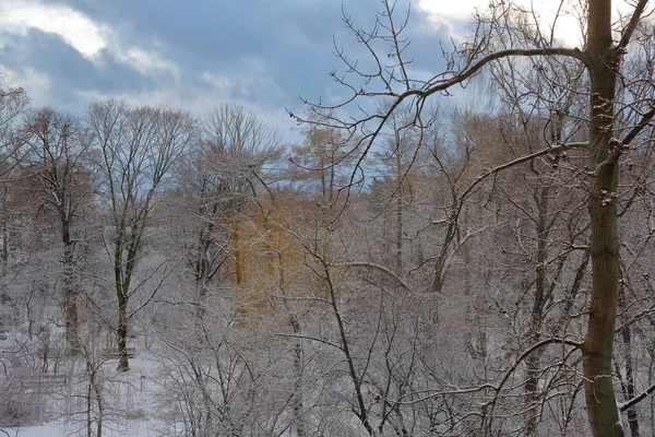 Parque da cidade coberto de neve na noite de inverno — Fotografia de Stock