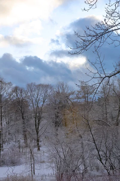 Ośnieżony park miejski w zimowy wieczór — Zdjęcie stockowe