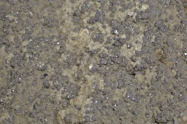 Textura de pedra natural no museu de geologia — Fotografia de Stock