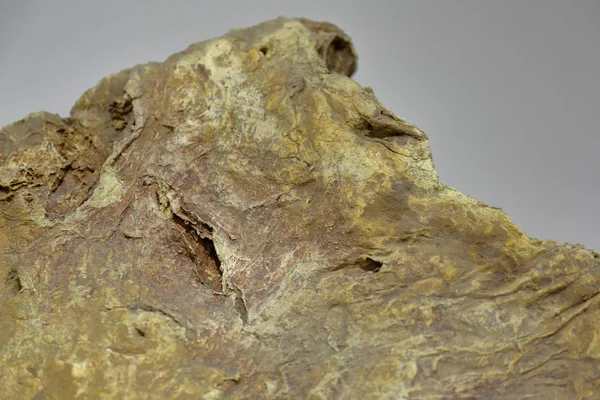 Jeoloji müzesindeki doğal taş dokusu.