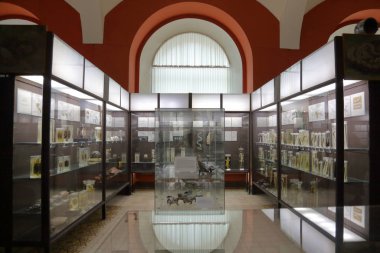 Zooloji Müzesi adını Lomonosov 'dan almıştır. Moskova, Rusya