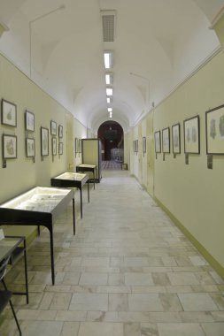 Zooloji Müzesi adını Lomonosov 'dan almıştır. Moskova, Rusya