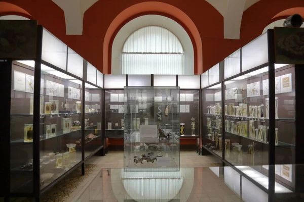 Zoological Museum named after Lomonosov. Moscow, Russia — Stockfoto